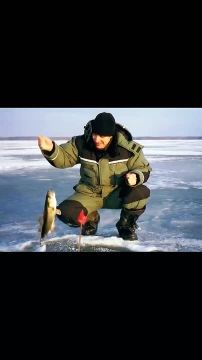 ������ ������� ����� �������� ������ ��� �������� ��������