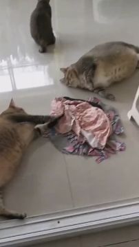 � ��� � �����. ������ ��, ����� ������� ����� ��� ��������