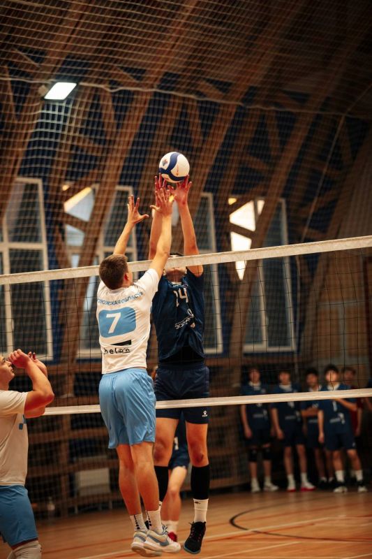 �������� ���������� ���������� ������� ������ ����������� ������� � 2025 ����!