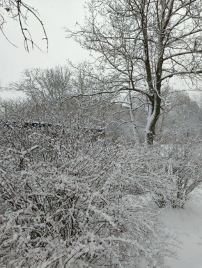 � ������ �����, � ����������� ����!