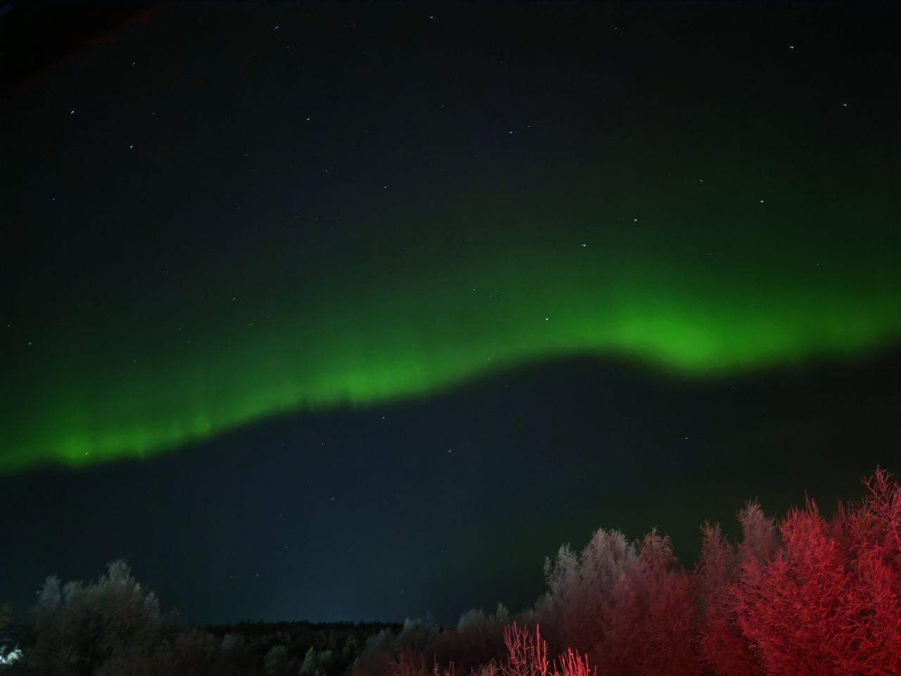 Максим Пухов: #НашСевер