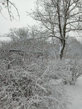 � ������ �����, � ����������� ����!