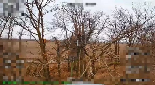 Запорожский фронт.. Расчеты fpv десантников продвигаются в глубь обороны врага уничтожая на своем пути технику и личный состав ВСУ