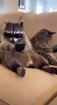 ������ ����, ������! �������� ��� ��� � ��������� ����������!