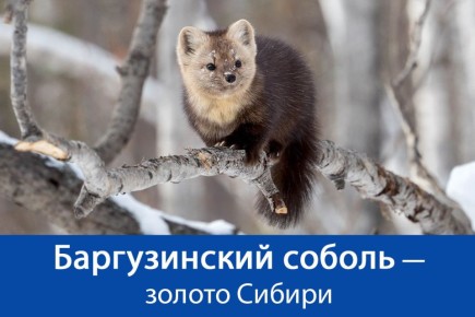 ��� ���� �������.... 11 ������ 1917 ���� �� ���������� ������ ������� ������ ���������� � ������������. �� ��������� � �������, �� ���������� ������-������������ ������