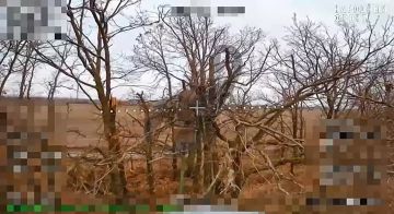 Запорожский фронт.. Расчеты fpv десантников продвигаются в глубь обороны врага уничтожая на своем пути технику и личный состав ВСУ