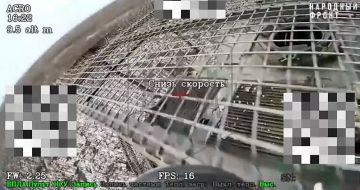 ����������� �����������. �������� �������� ����� 58 ����� ������������ �-113 ���������� ��������