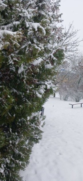 ����� � ������, ����� ��������� �����, ��������� � ���� � �����, ������� � �������, � ������ ��������� ����� ���� �������������� ������ ���������, ������� ���������� � ����� ���, �������� ���, ��������� � ������� ��������...