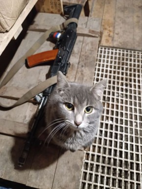 ���� ������� ���� � ������������ �����������