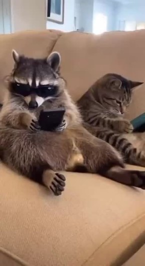 ������ ����, ������! �������� ��� ��� � ��������� ����������!