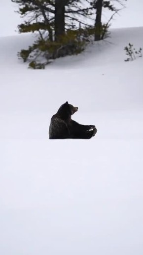 � ��������� �������� ���� ���������� �������, ����������� �������!