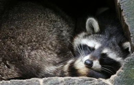 Доброй ночи, дорогие подписчики! Доброй ночи, Запорожье!