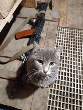 ���� ������� ���� � ������������ �����������