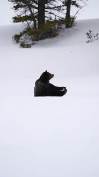 С последним выходным днем новогодних каникул, Запорожская область!