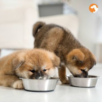 ������ ������� �������� � 2025 ����: ����� � ��������������