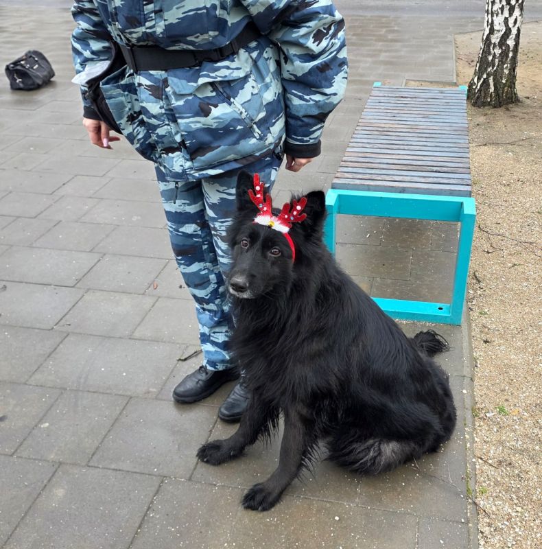 ��������� ������ � ������ ���������: �������� �� ��� ������ �� ����������� ������� ������� ������-����� ��� ���� ����������