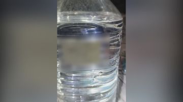 ��� ������ ������������ ���������������� ��� � �������� ����