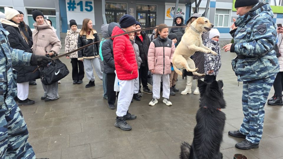 ��������� ������ � ������ ���������: �������� �� ��� ������ �� ����������� ������� ������� ������-����� ��� ���� ����������