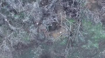 ����������� �����������. ��������� ������