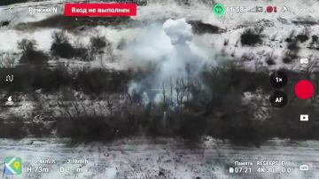 ������������� ����������� ����� ������� � ����������� ������� �������� ��������� ���������� �������� ����������� ��������� ����������