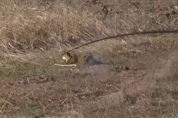 ��������� � ��������� ����