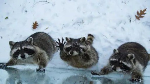 ������ ����, ������! �������� ��� ��� � ��������� ����������!