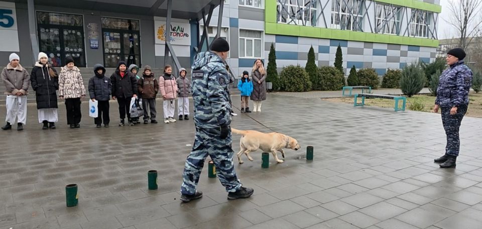 ��������� ������ � ������ ���������: �������� �� ��� ������ �� ����������� ������� ������� ������-����� ��� ���� ����������