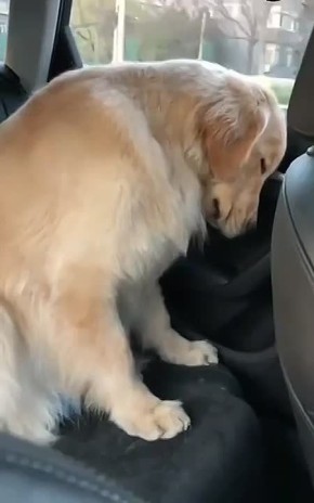 ����� ����. ���������� � ������ � ���� �� ������