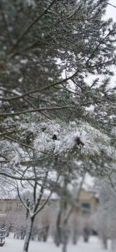 � ������ �����, � ����������� ����!