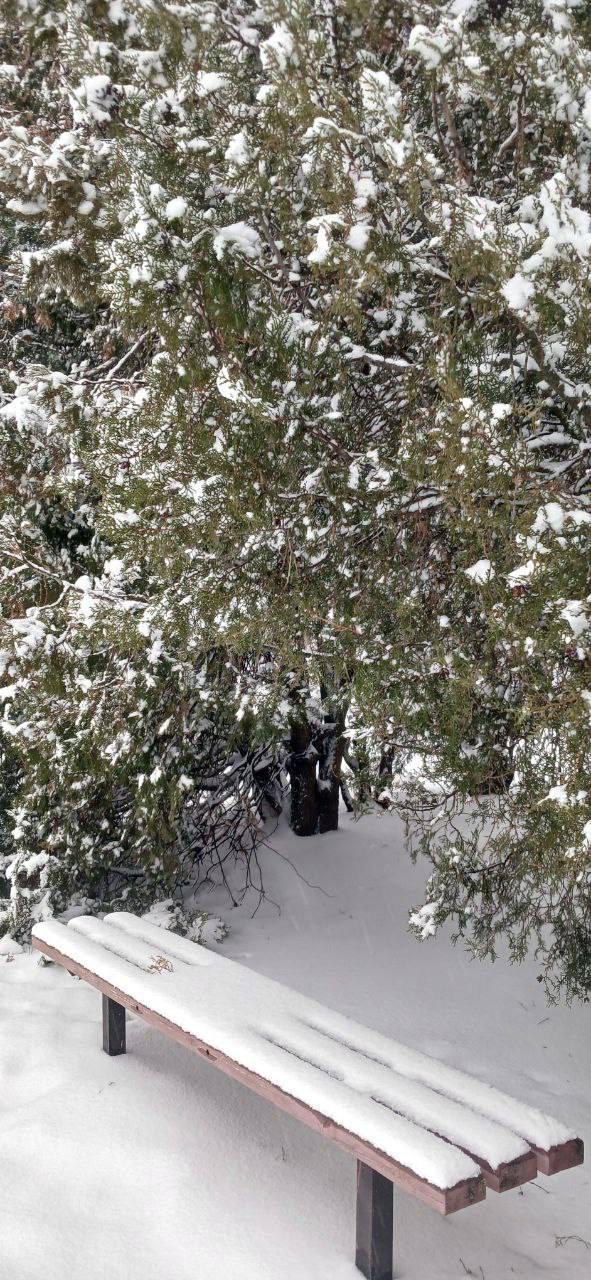 С добрым утром, с наступившим днём! С добрым утром, с наступившим днём!