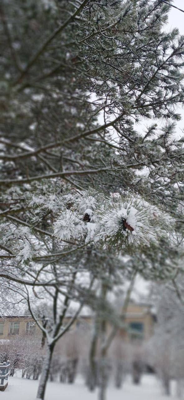 С добрым утром, с наступившим днём!