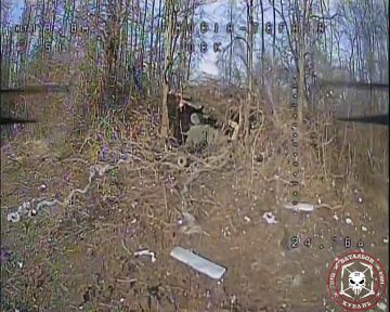 Отряд БПЛА "Фобия" батальона Кубань 392 мсп уничтожил вражеское САУ в районе п.Павловка Запорожской области