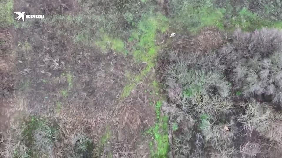 ���������� �� �� ���������� ����������� ������������ ���������