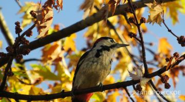 ���: �������� ������ �������� �������� �������������� ����� ���������