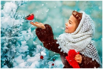 ������ ���� - ��� ����� ������ ���� ����� �����