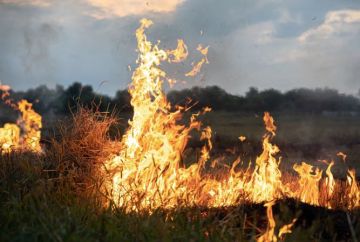 � ����������� ������� �������� � ��������� ��������� ��������������� �����������