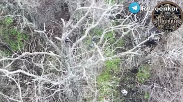 ��� �� ����������� ������: "�����" ������� ���������� ������ � ������� �����