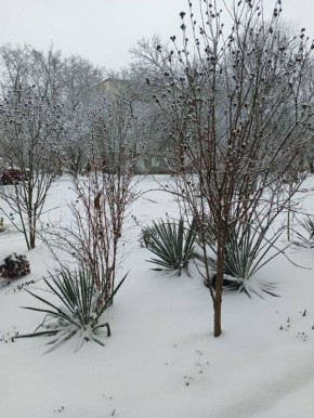 ����� ���� ������� ������������������ ����� � �������� ��� ������ �������