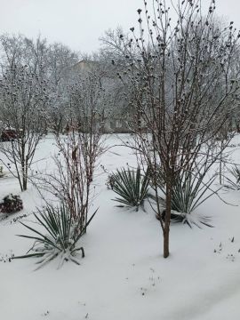 ����� ���� ������� ������������������ ����� � �������� ��� ������ �������