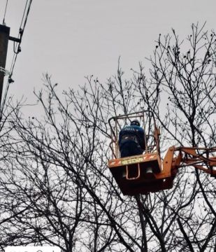 Васильевка — расчистка линий и ТО ЗТП