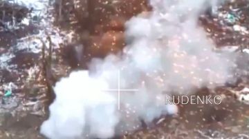 ������ �������: ��������� ����������� ������� ����������� ������� ������� ��������� ����� ���� ��� � ����������� �������