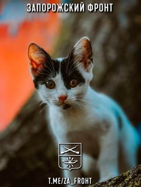 ���� ������� ���� � ������������ �����������