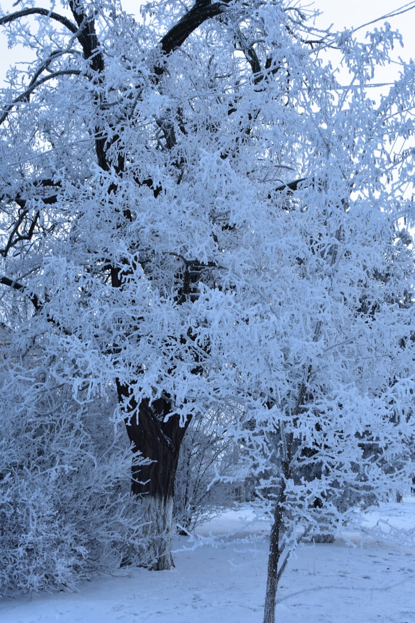 Настоящая "Зимушка, зима" от участницы фото-конкурса "Новогодняя сказка" Яны Дяковой (с.Владимировка) Настоящая "Зимушка, зима" от участницы фото-конкурса "Новогодняя сказка" Яны Дяковой (с.Владимировка)