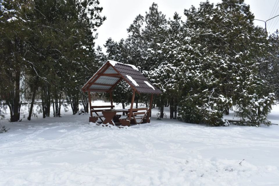 ��������� "�������, ����" �� ��������� ����-�������� "���������� ������" ��� ������� (�.������������)