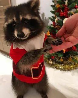 ������ ����, ������! �������� ��� ��� � ��������� ����������!