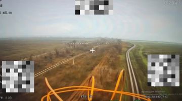 ����������� �����������. ����� �.�.�����������