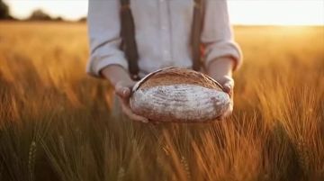 � 2026 ���� � ������ ����������� ����������� ������ ��������� ������ �����������