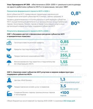 Продолжаю публиковать Доклад о состоянии сектора МСП