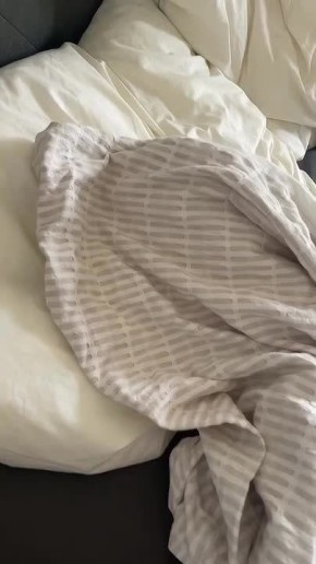 ���� �������� ���������. ���������� ������������ � ������� �����