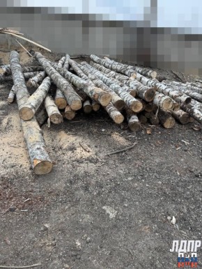 ����������������� ���� ������� � ����� ������ ���� ������ � ���������� ���������� ���������� ������� ����